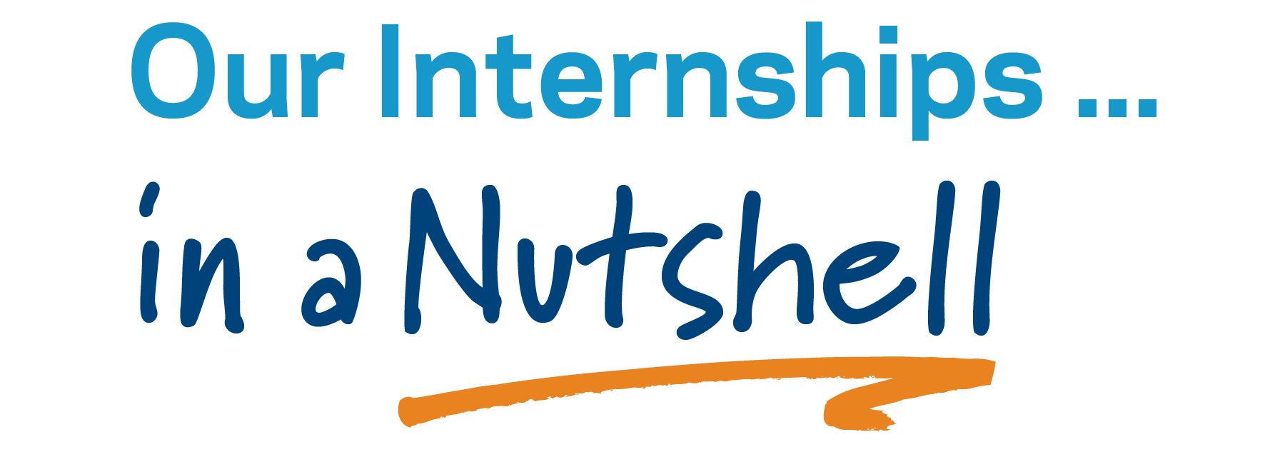 Our Internships in a Nutshell-1